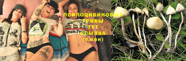 молекула духа Балабаново